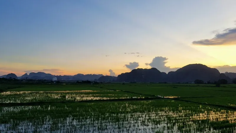 Zonsondergang boven de rijstvelden van Ninh Binh